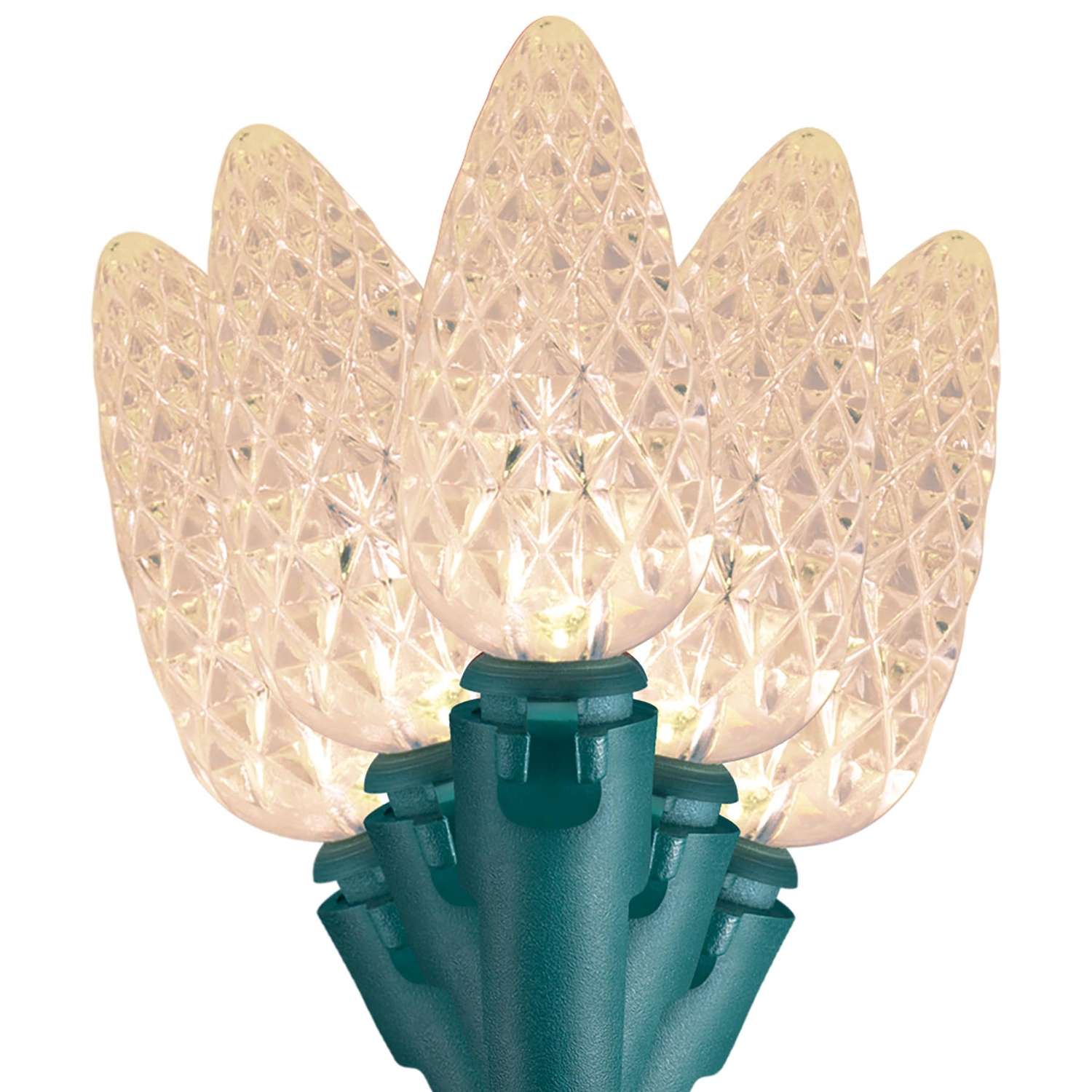 Celebrations LED C6 Clear/Warm White 50 count String Christmas Lights