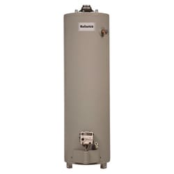Natural Gas Water Heaters | Ace Hardware