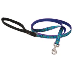 LupinePet Original Designs Multicolor Rain Song Nylon Dog Leash