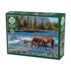 Cobble Hill On The Rocks Jigsaw Puzzle Multicolored 1000 pc