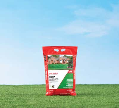 Ace 29-0-3 Weed & Feed Lawn Fertilizer For All Grasses 5000 sq ft - Ace ...