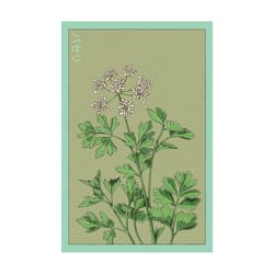 Chive Shido Seed Co Parsley Seeds 1 pk