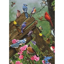 Cobble Hill Wildbird Gathering Tray Puzzle Multicolored 35 pc