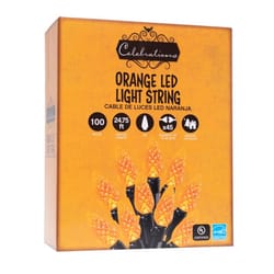 Celebrations Orange 100 ct 2 in. LED C6 Halloween String Lights