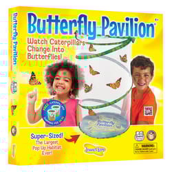 Insect Lore Butterfly Pavilion Growing Kit with Voucher Multicolored