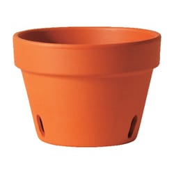 Deroma 3.8 in. H X 5.1 in. D Clay Orchid Planter Terracotta