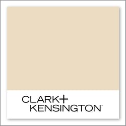 Clark+Kensington Sunflower Seed 22A-2