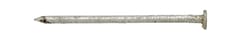 Ace 8D 2-1/2 in. Box Hot-Dipped Galvanized Steel Nail Flat Head 5 lb