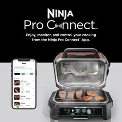 Ninja Electric Grill and Smoker Rust