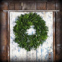 Fresh 22in Fraser and Cedar Wreath Fraser Fir Green Red Cedar Bouquet Wreath