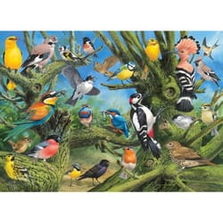 Eurographics Garden Birds Jigsaw Puzzles Multicolored 1000 pc