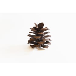 Desert Steel 15 in. Metal Pine Cone Luminary Brown Lantern