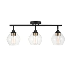 Globe Electric Harrow Matte Black 3 lights LED Track Light Fixture