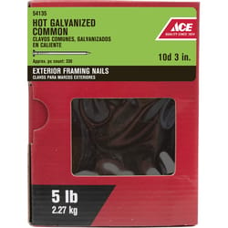 Ace 10D 3 in. Common Hot-Dipped Galvanized Steel Nail Flat Head 5 lb
