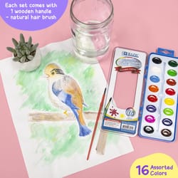 Bazic Products Assorted Kid's Paint Set Exterior and Interior