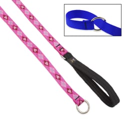 LupinePet Original Designs Multicolor Puppy Love Nylon Dog Training Leash