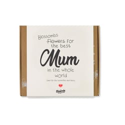 Blossombs Medium Box Flowers for Mom Assorted Flower Grow Kit 9 pk