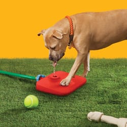 Quirky Pawcet Red Plastic 5 oz Automatic Pet Waterer