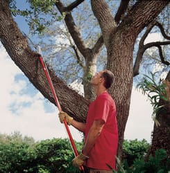 Corona 12 ft. Steel Curved Tree Pruner