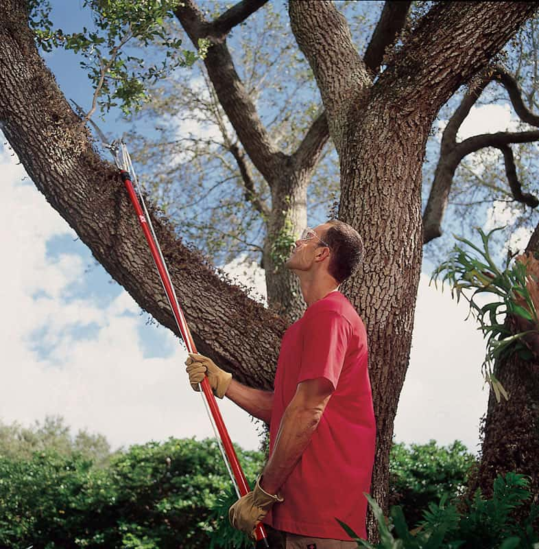 Ace hardware on sale tree pruner