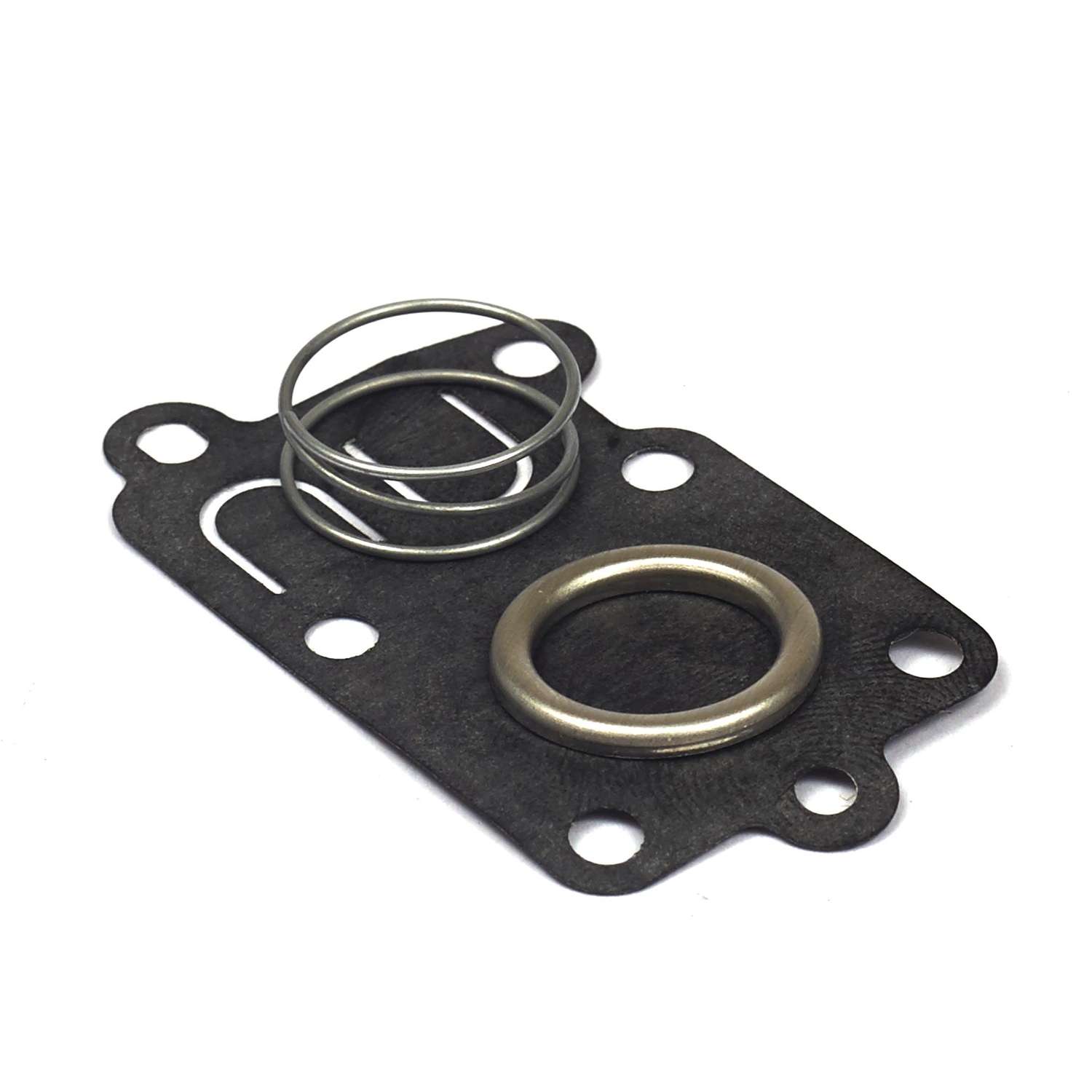 Briggs & Stratton Carburetor Kit 1 pk Briggs & Stratton Carburetor Kit 1 pk