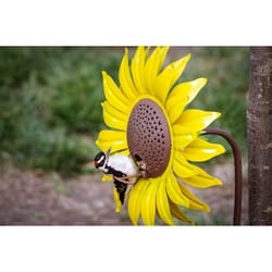 Desert Steel Wild Bird 12 oz Steel Sunflower Bird Feeder 1 ports