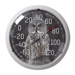 Taylor Owl Dial Thermometer Plastic Multicolored 13.25 in.