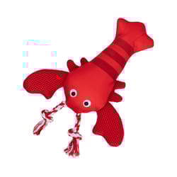 Pet Shop By Fringe Studio Multicolored Plush Feeling Claw-Some Dog Toy