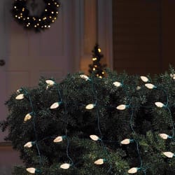 Celebrations Blue LED C9 Warm White 70 ct Net Christmas Lights