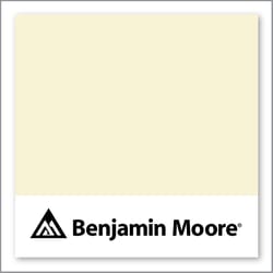 Benjamin Moore Palm Coast Pale 330