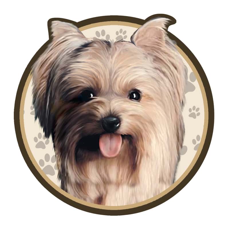 Advanced Graphics Yorkshire Terrior Tumbler Decal Vinyl 1 pk Ace Hardware