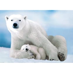 Eurographics Polar Bear & Baby Jigsaw Puzzles Multicolored 1000 pc