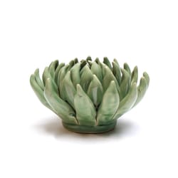 Chive English Garden 2.6 in. H X 5 in. W X 5 in. L Glazed Green Ceramic Large Succulent Wall Flower