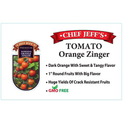 Chef Jeff Orange Premium Zinger Tomato Vegetable Plant