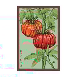 Chive Shido Seed Co. Heirloom Tomato Seeds 1 pk