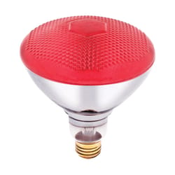 Westinghouse 100 W E26 Reflector Incandescent Bulb E26 (Medium) Red 1 pk