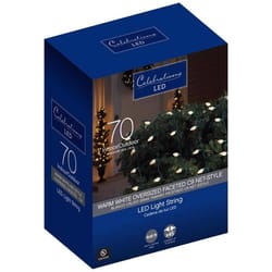 Celebrations Blue LED C9 Warm White 70 ct Net Christmas Lights