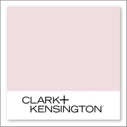 Clark+Kensington Pink Champagne 04B-1