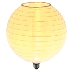 Globe Electric Specialty E26 (Medium) LED Bulb Soft White 22 Watt Equivalence 1 pk