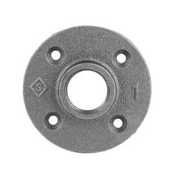 STZ Industries 1 in. FIP each Black Malleable Iron Floor Flange