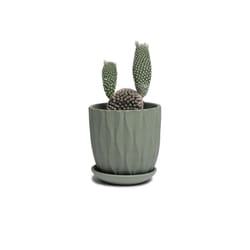 Chive Virago 3.3 in. D Ceramic Shape E Succulent Pot Olive