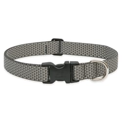 LupinePet Eco Granite Granite Recycled Plastic Dog Adjustable Collar