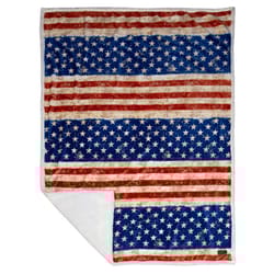 Carstens Inc 68 in. H X 68 in. L Multicolored Polyester Throw Blanket