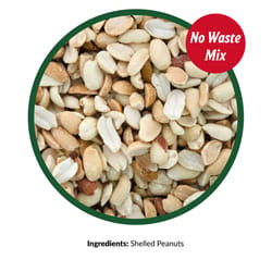 Lyric Chickadee and Nuthatch Peanut Pieces Wild Bird Food 5 lb