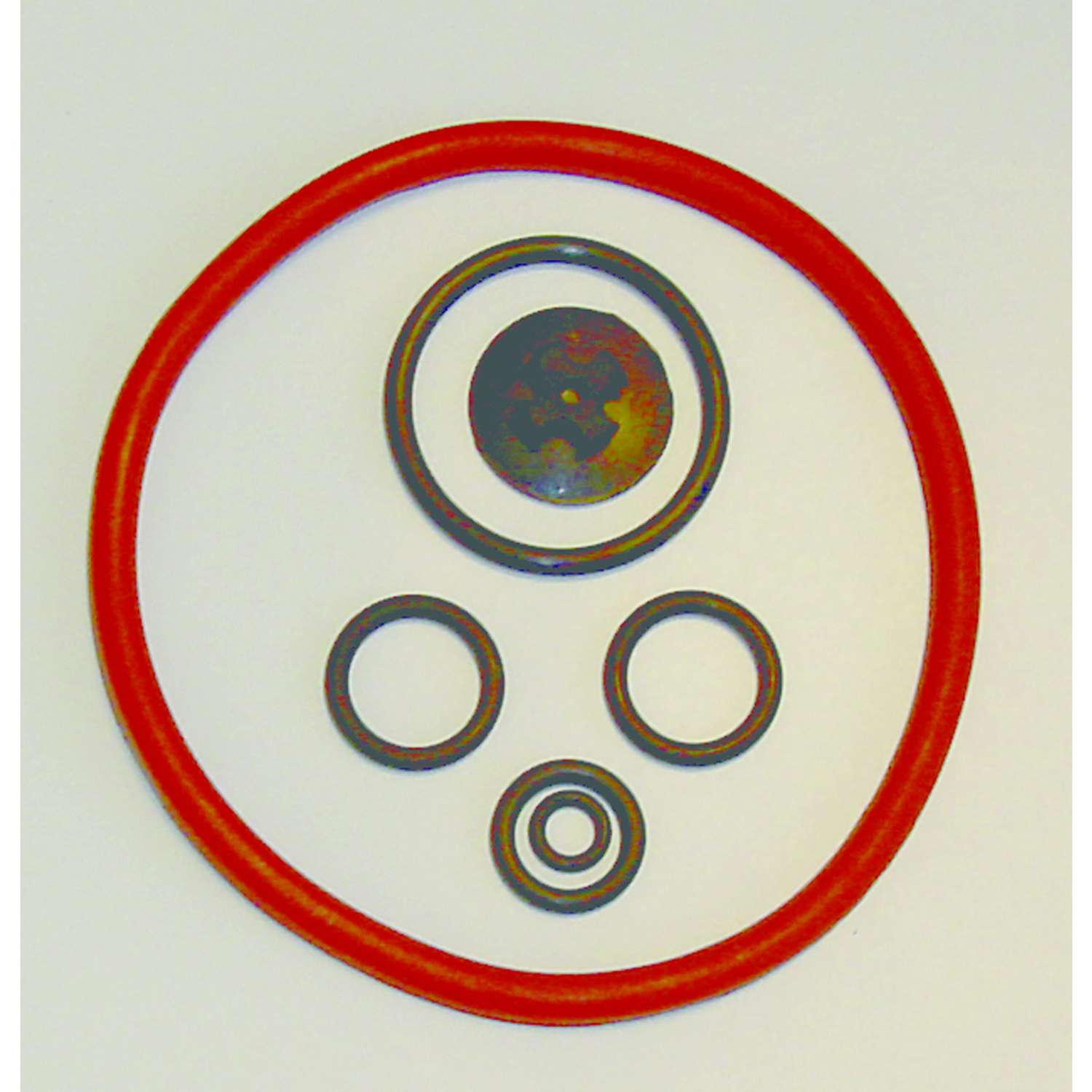 Solo Piston Pump Repair Kit Ace Hardware