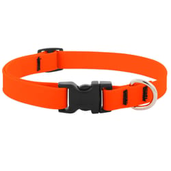 LupinePet Splash Neon Orange BioThane Dog Adjustable Collar Medium