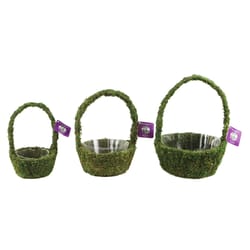 SuperMoss Deco Wire Miramonte Planter Set Green