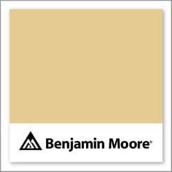 Benjamin Moore Warm & Toasty CSP-915