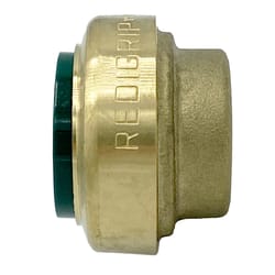 Redigrip Push to Connect 1/2 in. Push Brass Plug