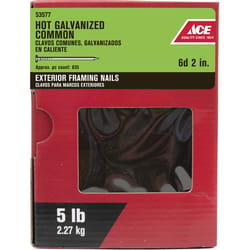 Ace 6D 2 in. Common Hot-Dipped Galvanized Steel Nail Flat Head 5 lb